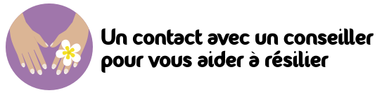 contact caliceo