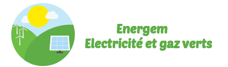 energem gaz vert