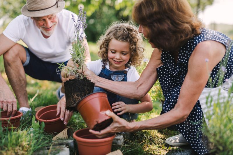 Des grands-parents apprennent à leur petite fille à jardiner